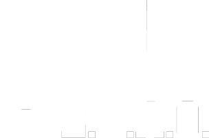 Euro srl